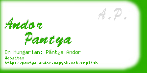 andor pantya business card
